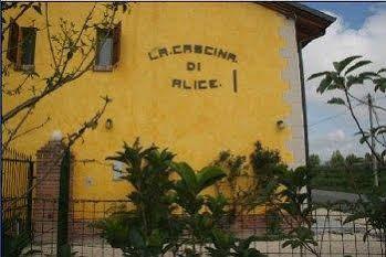 La Cascina Di Alice Bed & Breakfast Castiglione Delle Stiviere Dış mekan fotoğraf